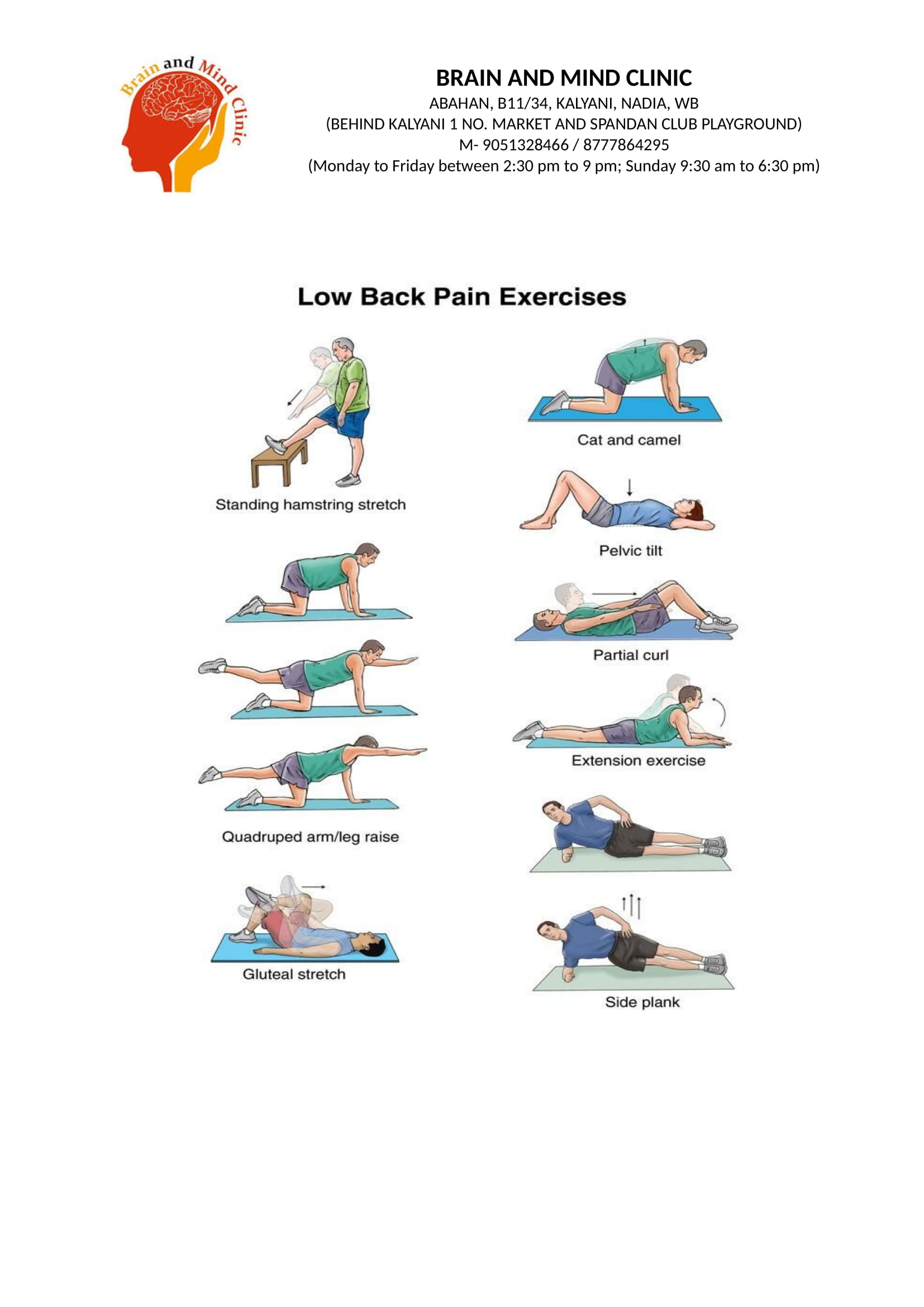 Low back pain exercises